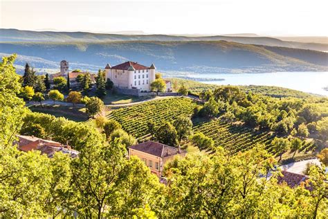 Discover the Best Vineyards for Wine Tastings in Provence  Villanovo