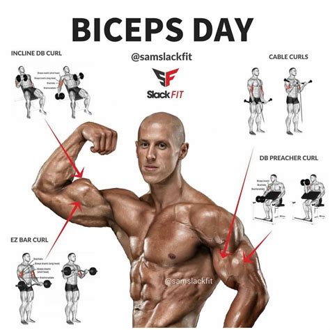 Día De Bíceps Workout Plan Gym Bodyweight Workout Biceps Workout