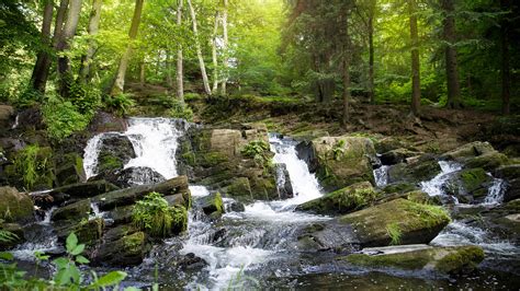 Landscape View Of Waterfall On Rock Stream Trees Bushes Forest With