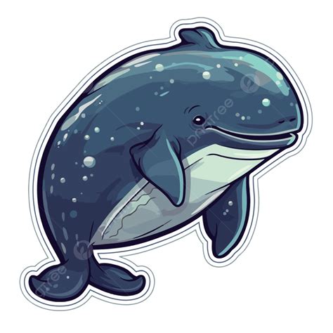 Kartun Ikan Paus Stiker Stiker Hd Clipart Vektor Desain Stiker Dengan