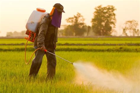 Pesticides And Flame Retardants Increase Als Risk Study Finds