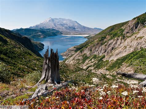 Norway Pass Spirit Lake Mount Saint Helens National Volcanic Monument