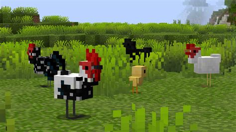 Better Chickens Resource Packs Minecraft