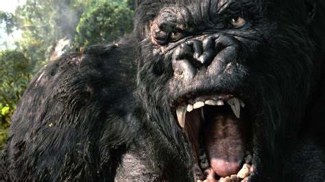 King Kong Wallpaper 67 Images