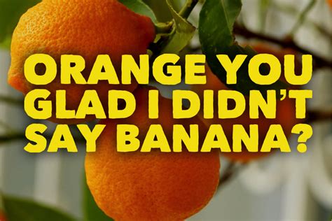 Orange You Glad I Didnt Say Banana Leeann Kirkindoll
