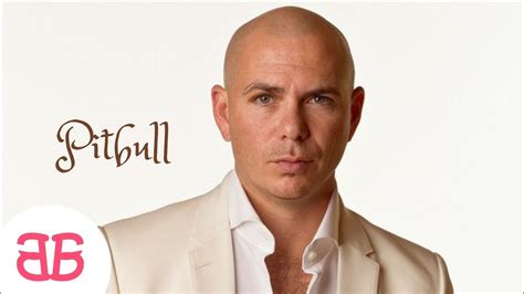 Pitbull Biography Youtube