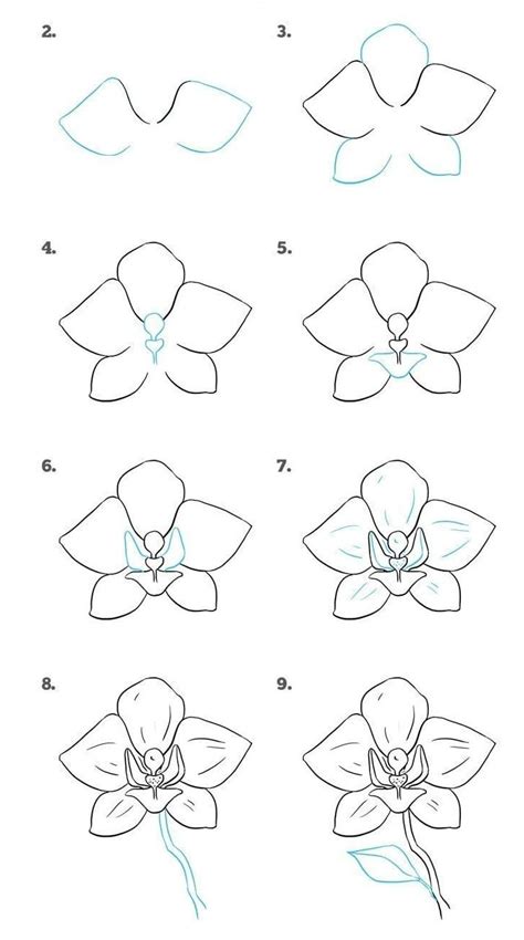 Drawing tips for beginner coloured pencil artists 1. Easy Drawing Tutorials for Beginners - Cool Things to Draw Step By Step