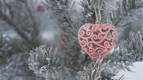 Snow Covered Christmas Tree With Heart Decoration Hd