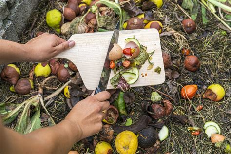 25 Things You Should Start Adding To Your Compost Pile