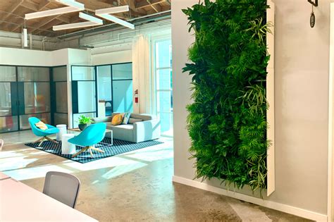 Biophilic Design From Ambius Lays The Groundwork For Future Spaces
