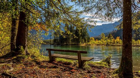 Viewes Mountains Bench Trees River Beautiful Views Wallpapers