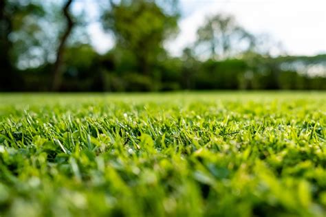 Des Moines, IA Commercial Landscaping & Lawn Care Services