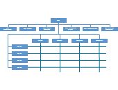 Hospital Matrix Organizational Chart | Editable Organizational Chart Template on Creately