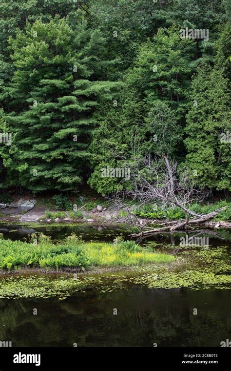 Lush Landscape Canada Hi Res Stock Photography And Images Alamy