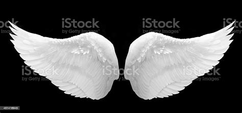 Detail White Angel Wings Background Koleksi Nomer 49