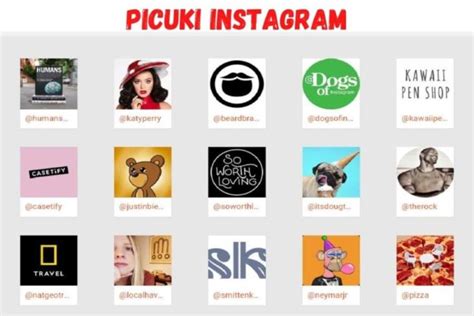 Picuki Instagram Everything You Need To Know About Picuki Apzomedia