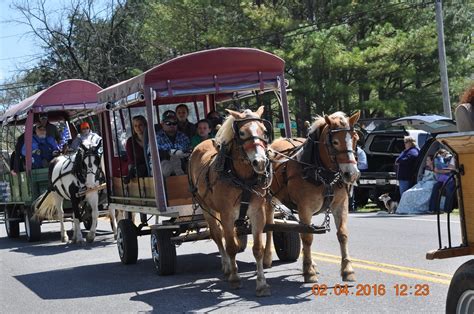 2016 April 2 Mule Day Parade In Columbia Tennessee Flickr