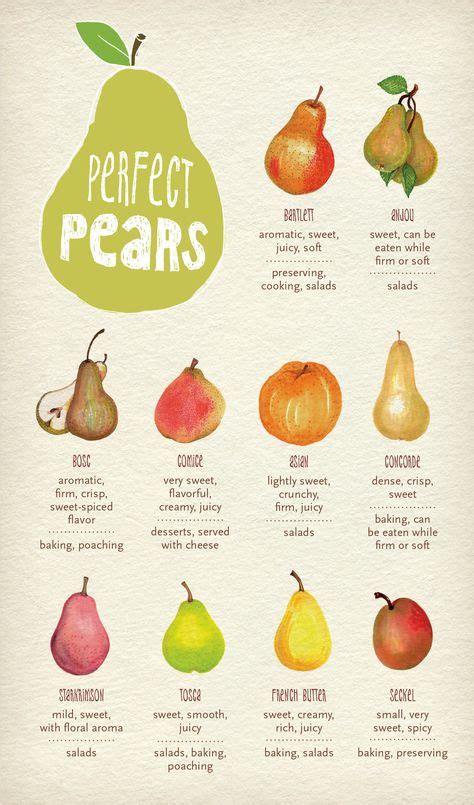17 Pear Varieties Ideas Pear Varieties Pear Flavors