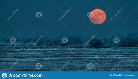 Night Winter Full Moon Over A Snowy Field Stock Image Image Of