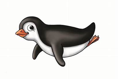 Clipart Penguin Penguins Diving Swimming Clip Water