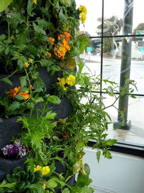 Plants On Walls Vertical Garden Systems Aquaponic Vertical Vegetable