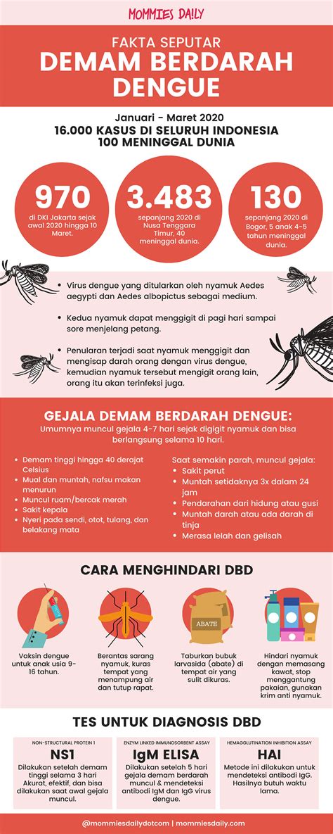 Infografik Fakta Dan Data Terbaru Kasus Dbd Di Indonesia Mommies Daily