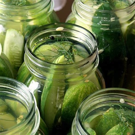 Crisp Garlic Dill Pickles This Recipe Looks Like The One I Used To