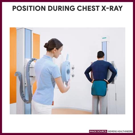Find Chest X Ray Procedure VyShows Com