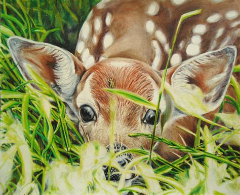 Baby Deer Painting At Explore Collection Of Baby