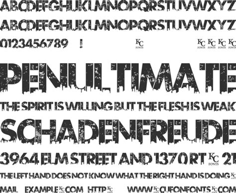 Urban Jungle Font Download Free For Desktop And Webfont