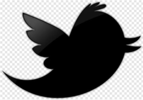 Twitter Bird Logo Facebook Twitter Logo Twitter Twitter Logo White