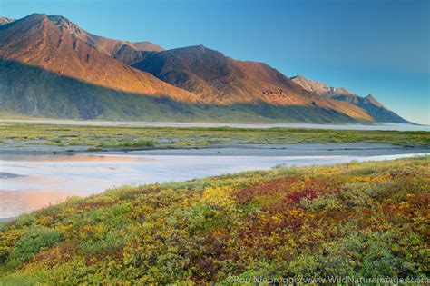 Brooks Range Alaska Photos By Ron Niebrugge
