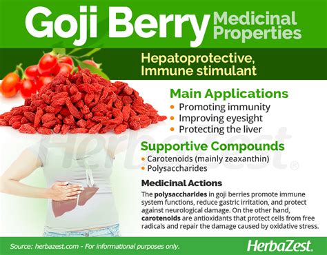 They have high levels of vitamin c and fiber. Goji Berry | HerbaZest