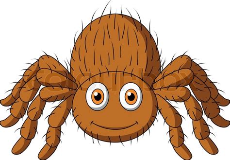 Vector Illustration Of Cute Tarantula Spider Cartoon Stock Vector
