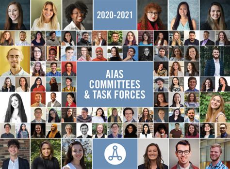 2020 2021 Aias Committees And Task Forces Aias