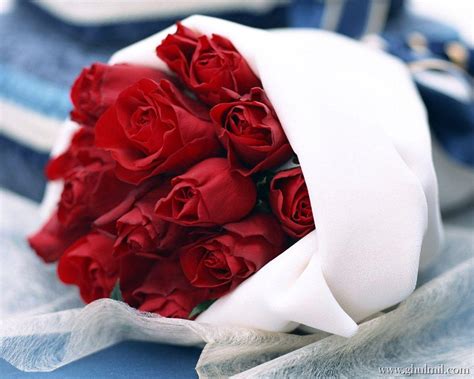 Check spelling or type a new query. Red Rose Love Wallpapers - Wallpaper Cave
