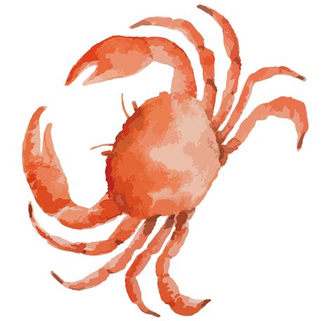Crab Png Transparent Images Png All Crab Clipart Crab Dungeness Crab