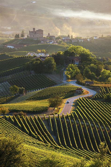 Italy Piedmont Cuneo District Colline Del Barolo Langhe Grinzane