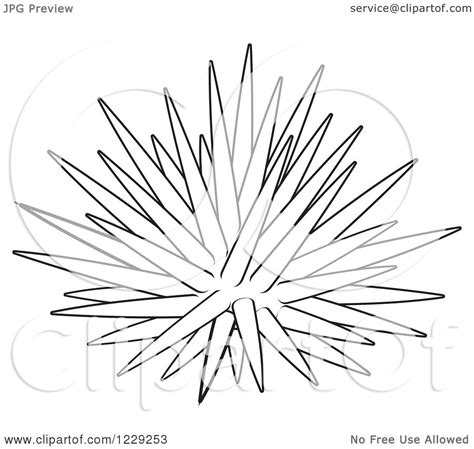 Clipart Of An Outlined Sea Urchin Royalty Free Vector Illustration By