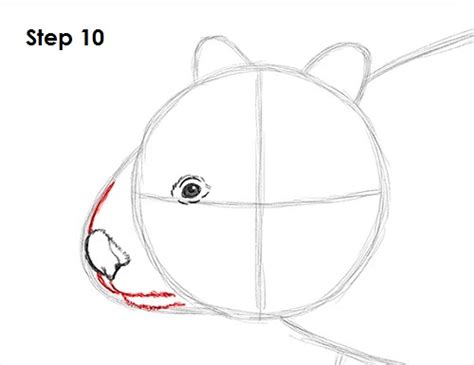 How To Draw A Wombat