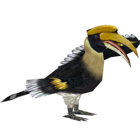 Great Indian Hornbill Ztabc Team Zt2 Download Library Wiki Fandom