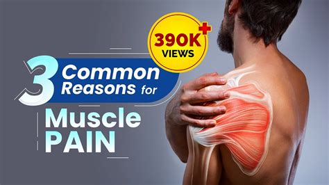 3 Common Reasons For Muscle Pain And How To Get Rid Of Muscle Pain Youtube