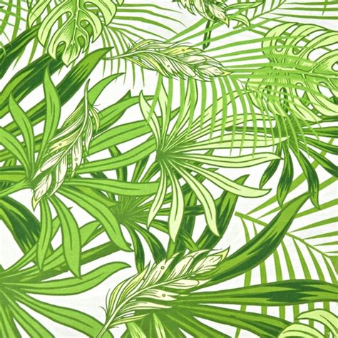 Bawełna Liście Zielone Palmowe I Monstera Na Białym Tle Sklep Z Tkaninami