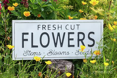 Garden Flowers With Fresh Cut Flower Sign 0770 Photograph By Simon