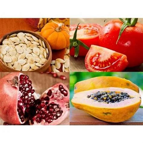 Fruit Seeds At Best Price In Dehradun By Floral Seed Company Id