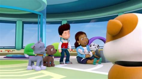 Paw Patrol Season 1 Episode 2 Pup Pup Boogie Pups In A Fog Watch