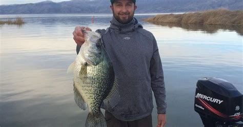 Californias New State Record Black Crappie Grand View Outdoors