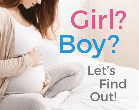 Gender Reveal Test Kit Gender Reveal Dna Test Va Labstogo