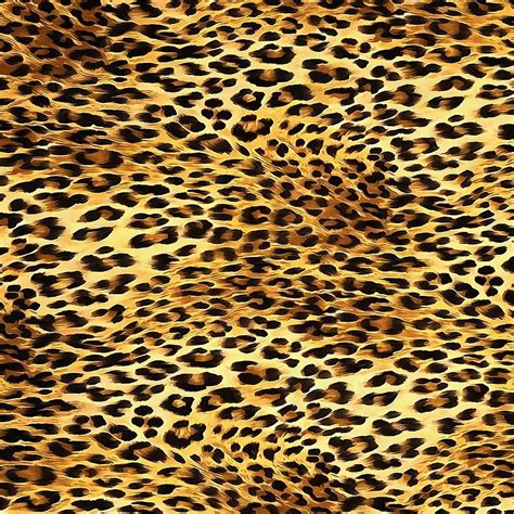 Animal Skin Patterns