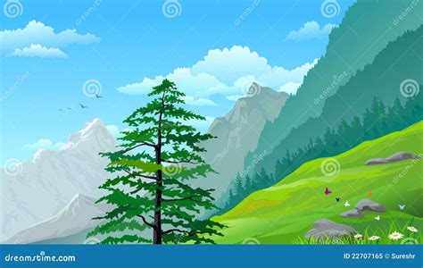 Hillside Pine Trees And Distant Mountains Stock Vector Illustration